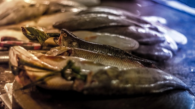 high angle view of dead fish at market