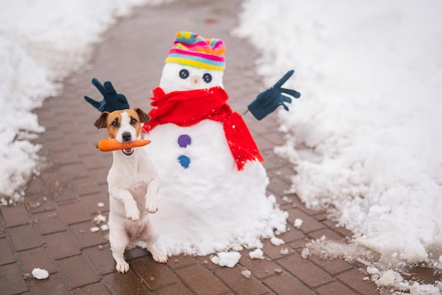 High angle view of dog on snow