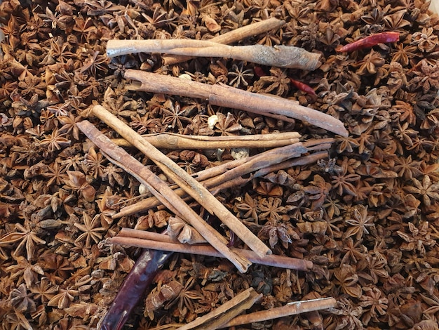 Photo high angle view of dried wood on field