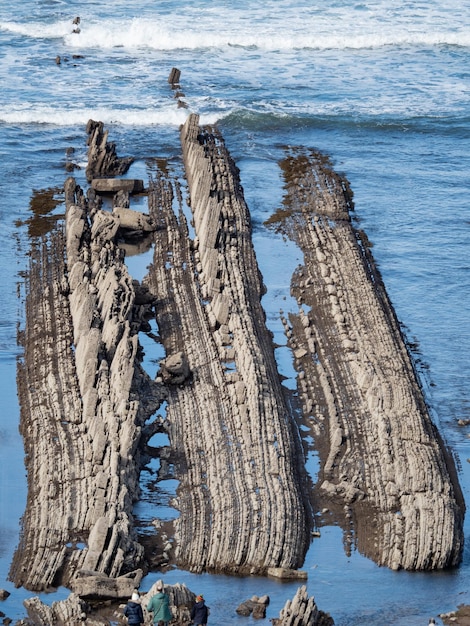 Photo high angle view of driftwood on beach