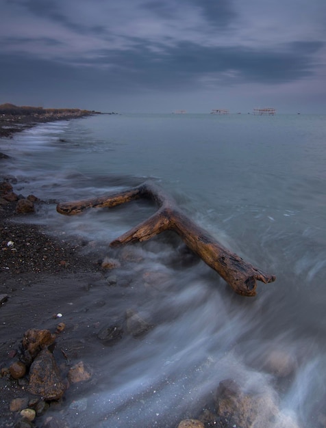 Foto vista ad alto angolo del legno galleggiante sulla spiaggia