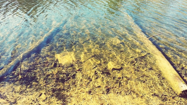 Foto vista ad alto angolo dei legni galleggianti sulla spiaggia