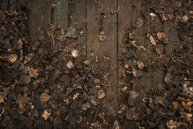 Photo high angle view of dry leaves on field