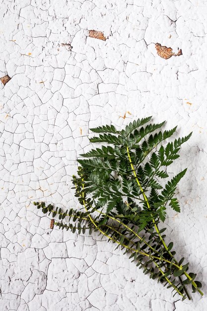 Photo high angle view of dry leaves on snow