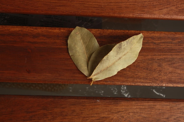 High angle view of dry leaves on table