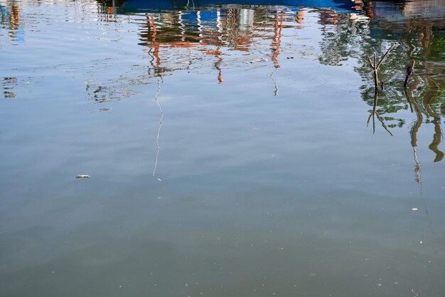 High angle view of ducks swimming in lake