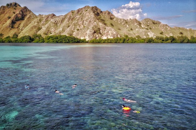 High angle view of ducks swimming in sea against mountain