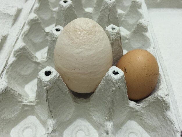 High angle view of egg on table