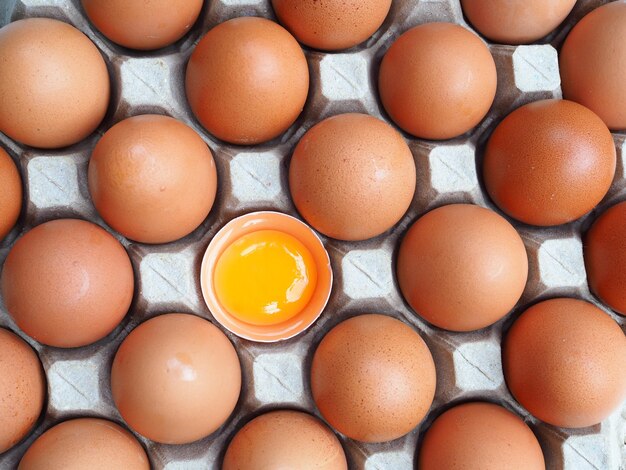 High angle view of eggs in container