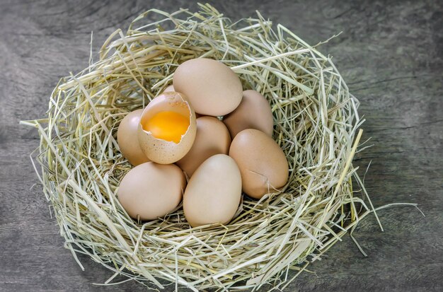 Photo high angle view of eggs in container