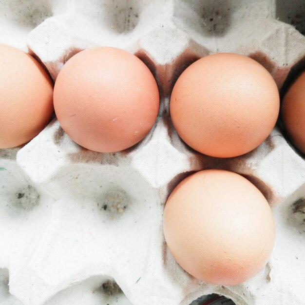 High angle view of eggs in container