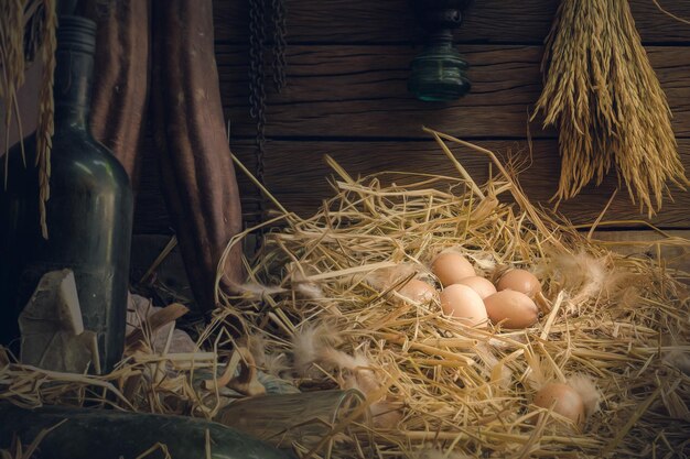 Photo high angle view of eggs in nest