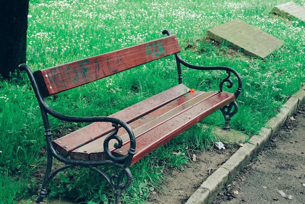 High angle view of empty bench in park