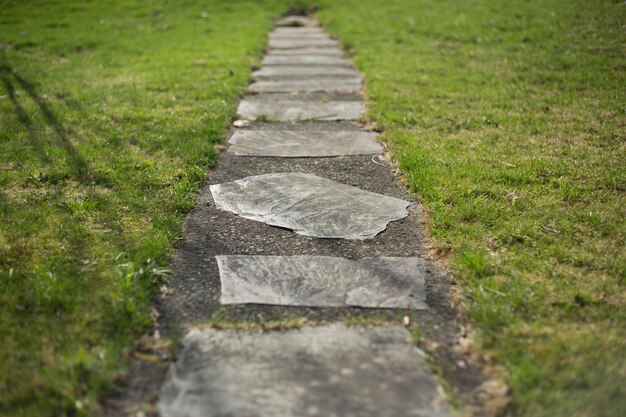 High angle view of empty footpath amidst grassy field