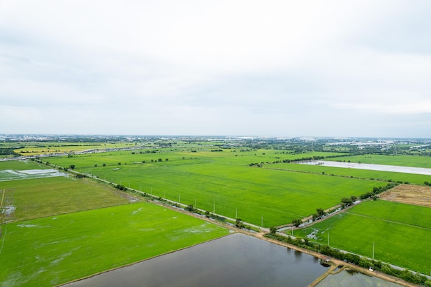 High angle view of farm grow plants nice landscape