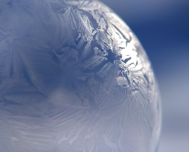 Foto vista ad alta angolazione di una piuma sul ghiaccio