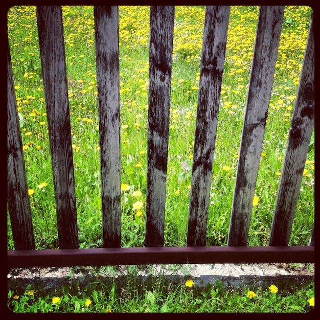 Photo high angle view of fence on grassy field