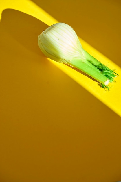 High angle view of fennel on yellow table