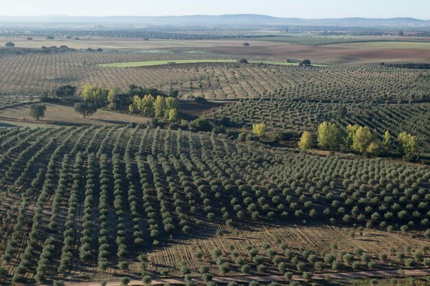 high angle view of field