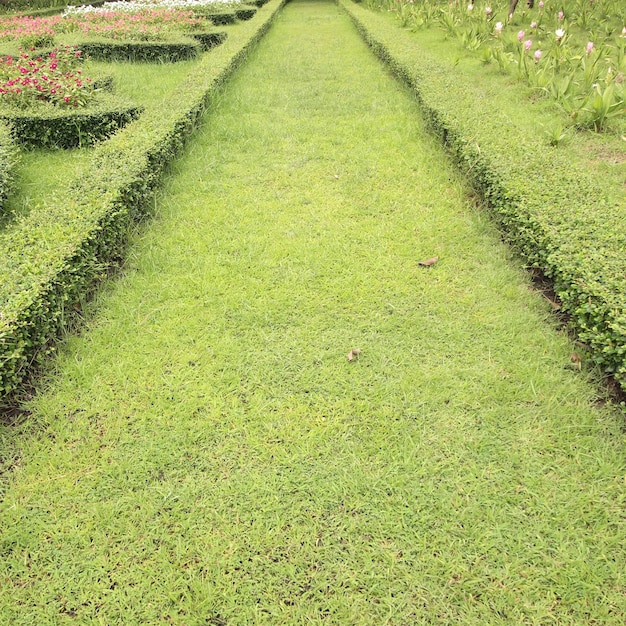 Photo high angle view of field