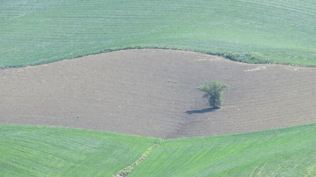 High angle view of fields