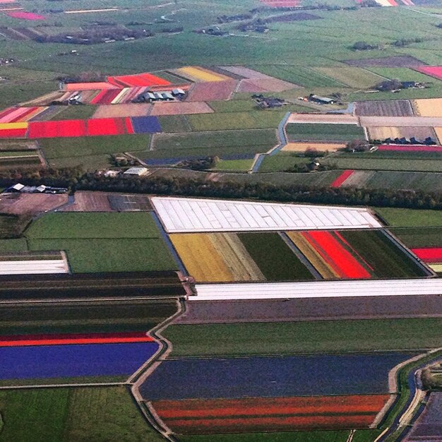 Foto vista ad alto angolo dei campi