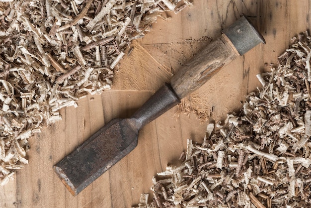 High angle view of firewood by plants