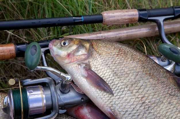 Foto vista ad alta angolazione del pesce su una griglia da barbecue