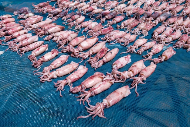 織物の上で乾燥する魚の高角度の視点