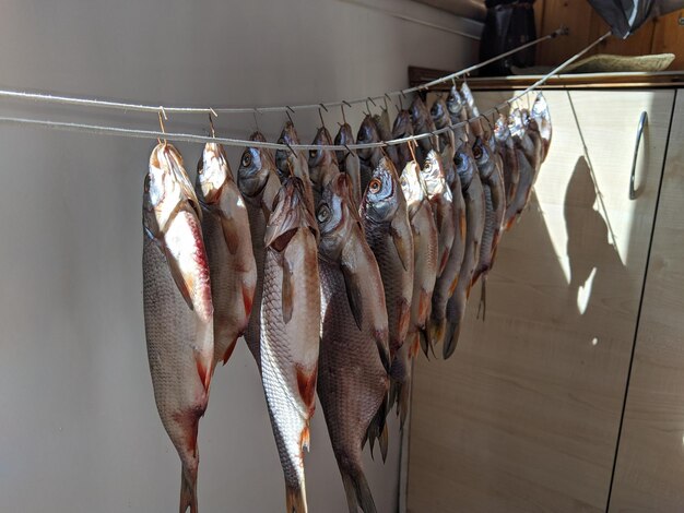 Foto vista ad alto angolo del pesce appeso al rack