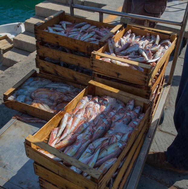 Foto vista ad alto angolo del pesce al mercato