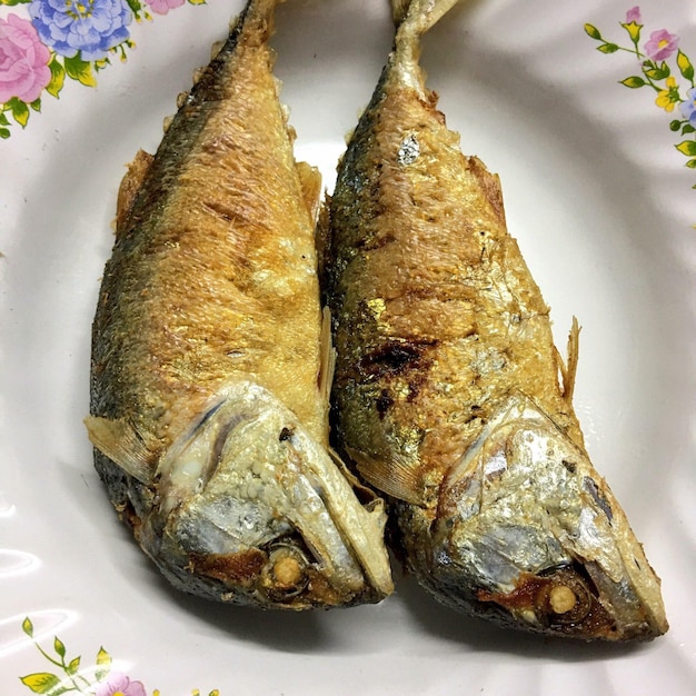 Photo high angle view of fish on plate