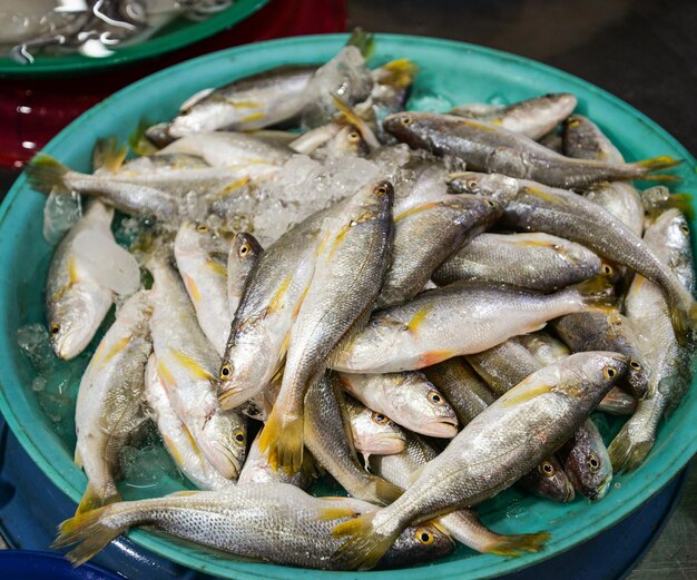 High angle view of fish for sale in market