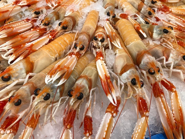 Photo high angle view of fish for sale in market