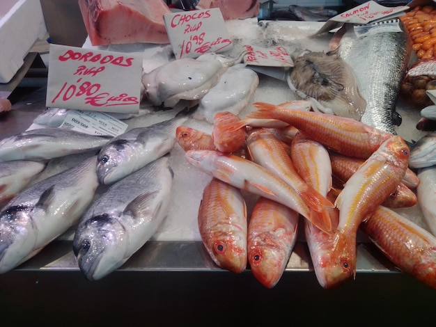 Foto vista ad alto angolo del pesce in vendita al mercato
