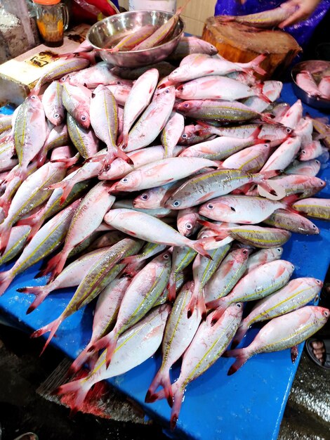 High angle view of fish for sale in market