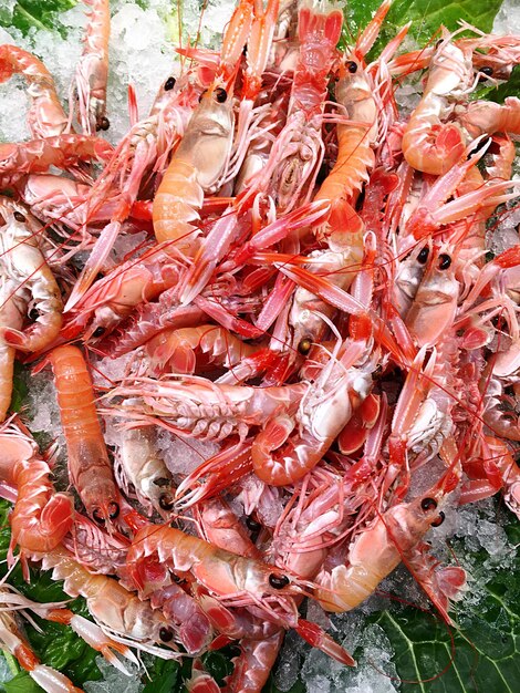 Foto vista ad alto angolo del pesce in vendita al mercato