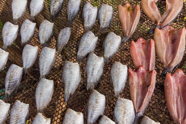 Foto vista ad alto angolo del pesce in vendita al mercato