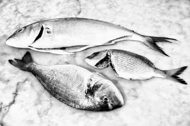 Photo high angle view of fish for sale