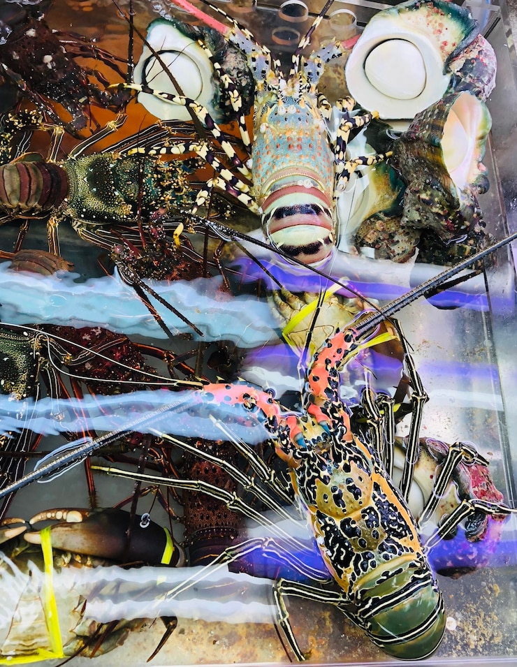 Photo high angle view of fish for sale