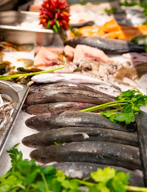 High angle view of fish for sale