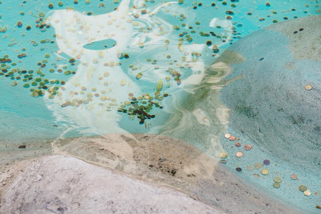 High angle view of fish swimming in sea