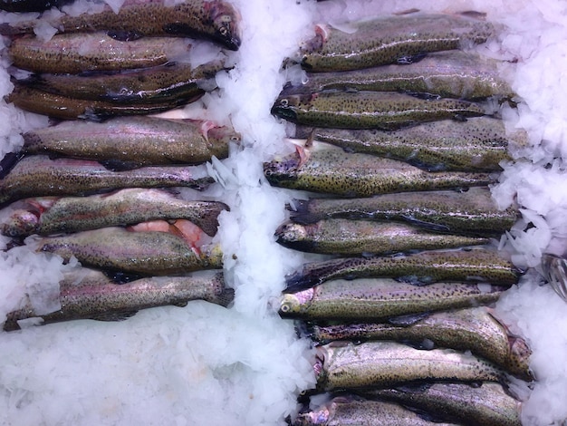 魚市場で氷の上にある魚の高角度の景色