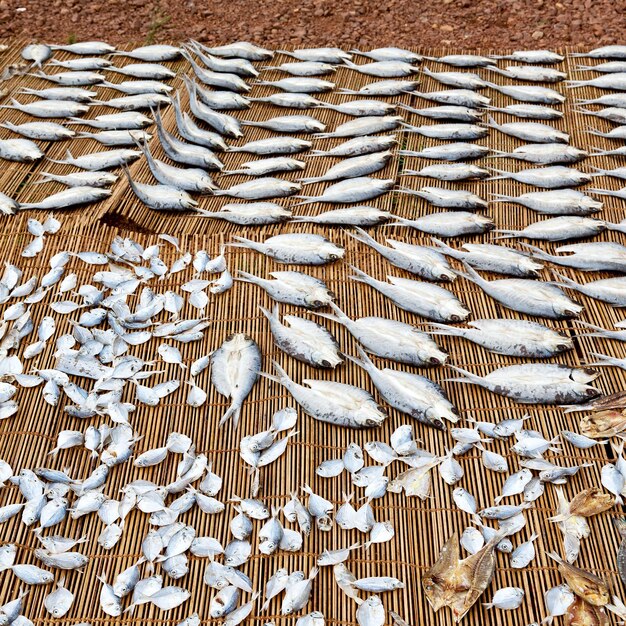 Photo high angle view of fishing net on land