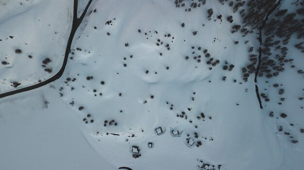 High angle view of flock of birds