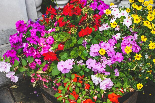 Photo high angle view of flower bouquet