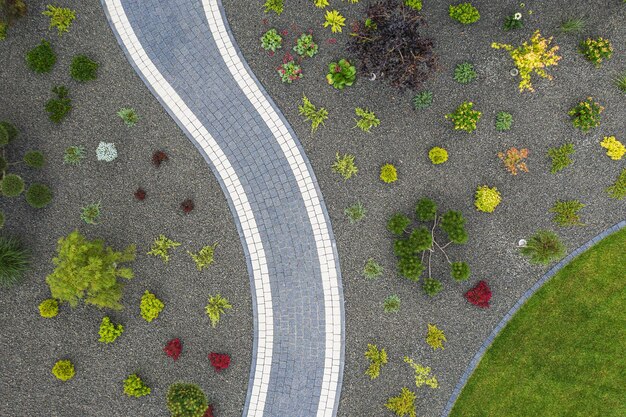 Photo high angle view of flower petals on street