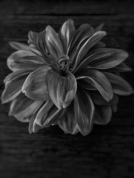 Photo high angle view of flower on table