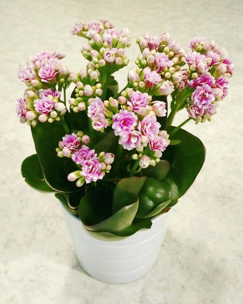 High angle view of flower vase on table