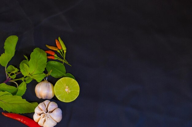 Foto vista ad alta angolazione di una pianta da fiore su uno sfondo nero